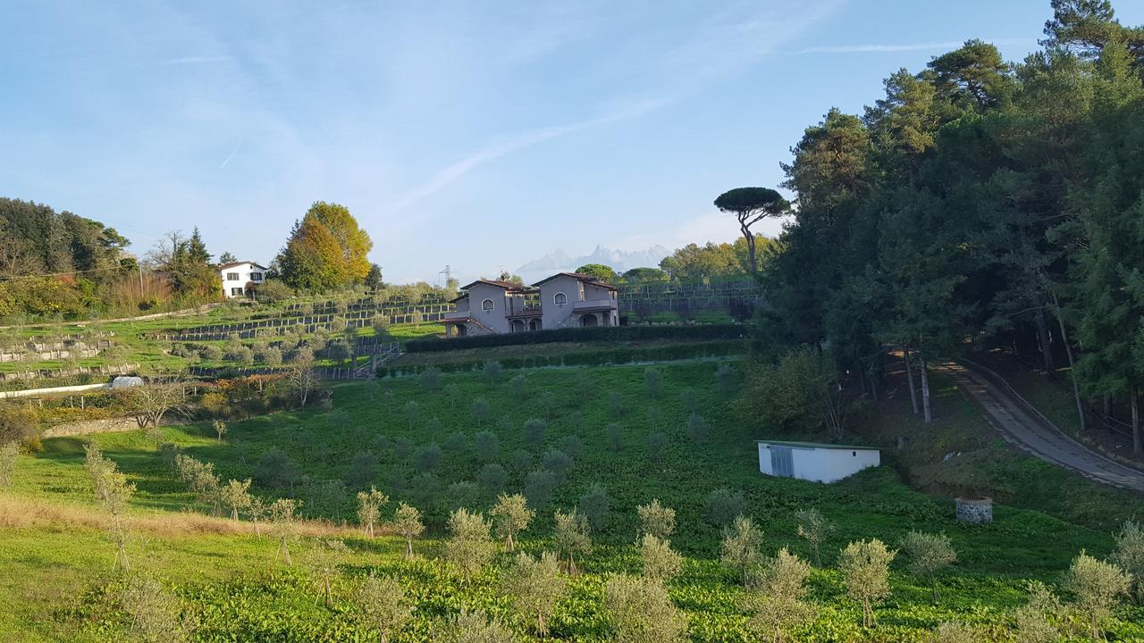 וילפרנקה אין לוניג'אנה B&B Podere Montese מראה חיצוני תמונה