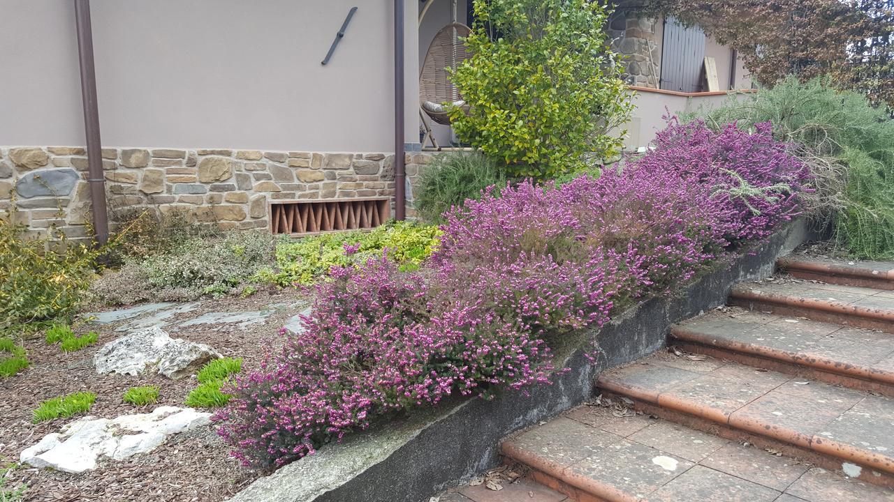 וילפרנקה אין לוניג'אנה B&B Podere Montese מראה חיצוני תמונה