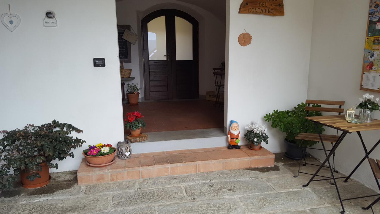 וילפרנקה אין לוניג'אנה B&B Podere Montese מראה חיצוני תמונה