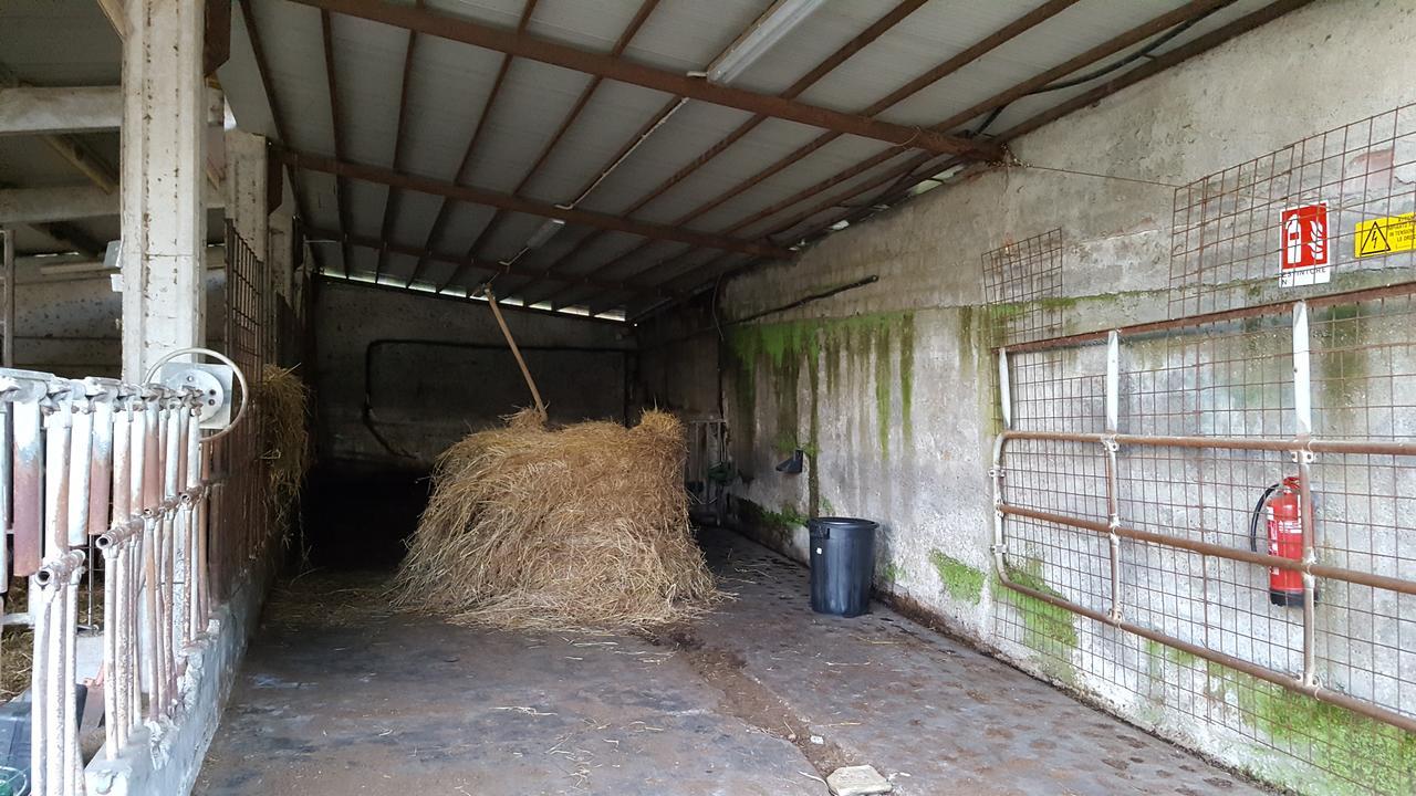 וילפרנקה אין לוניג'אנה B&B Podere Montese מראה חיצוני תמונה