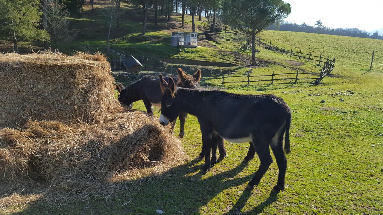 וילפרנקה אין לוניג'אנה B&B Podere Montese מראה חיצוני תמונה