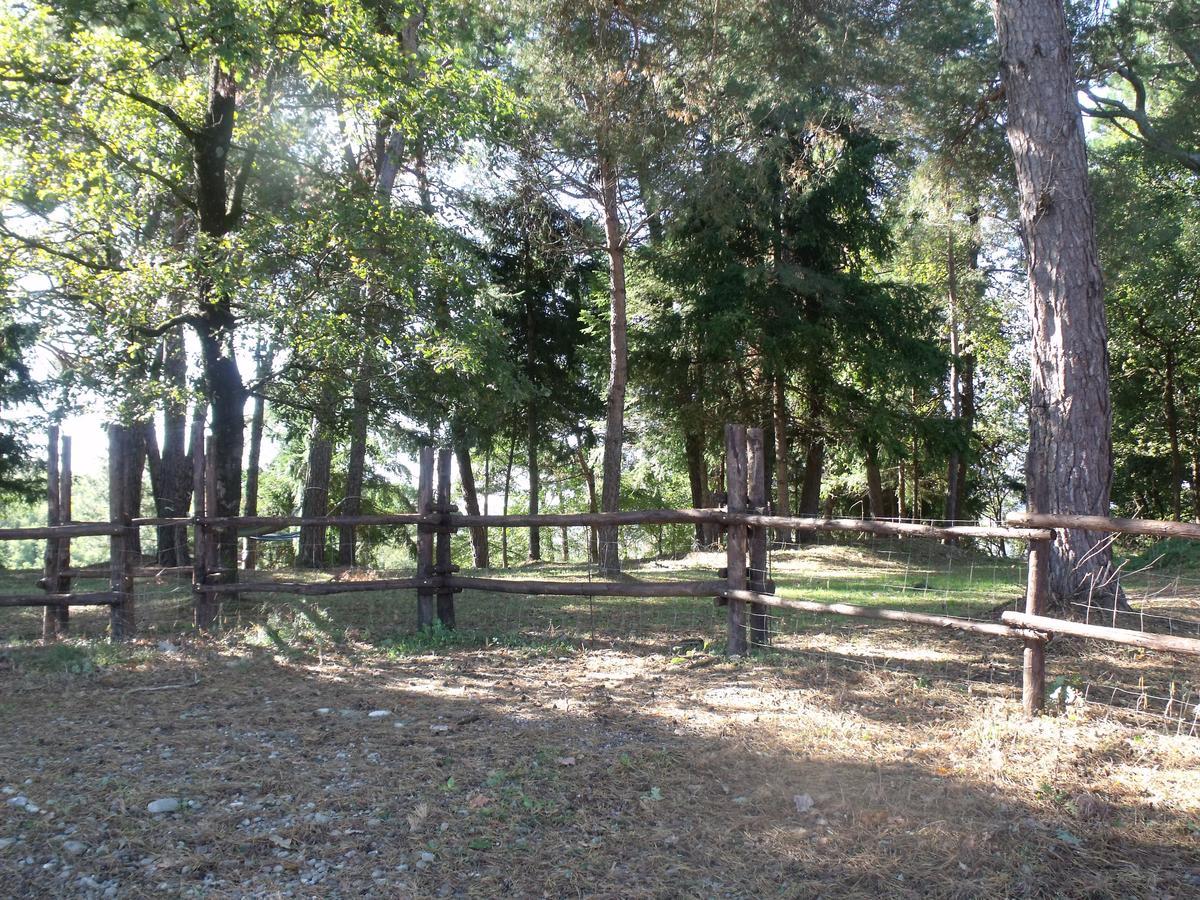 וילפרנקה אין לוניג'אנה B&B Podere Montese מראה חיצוני תמונה