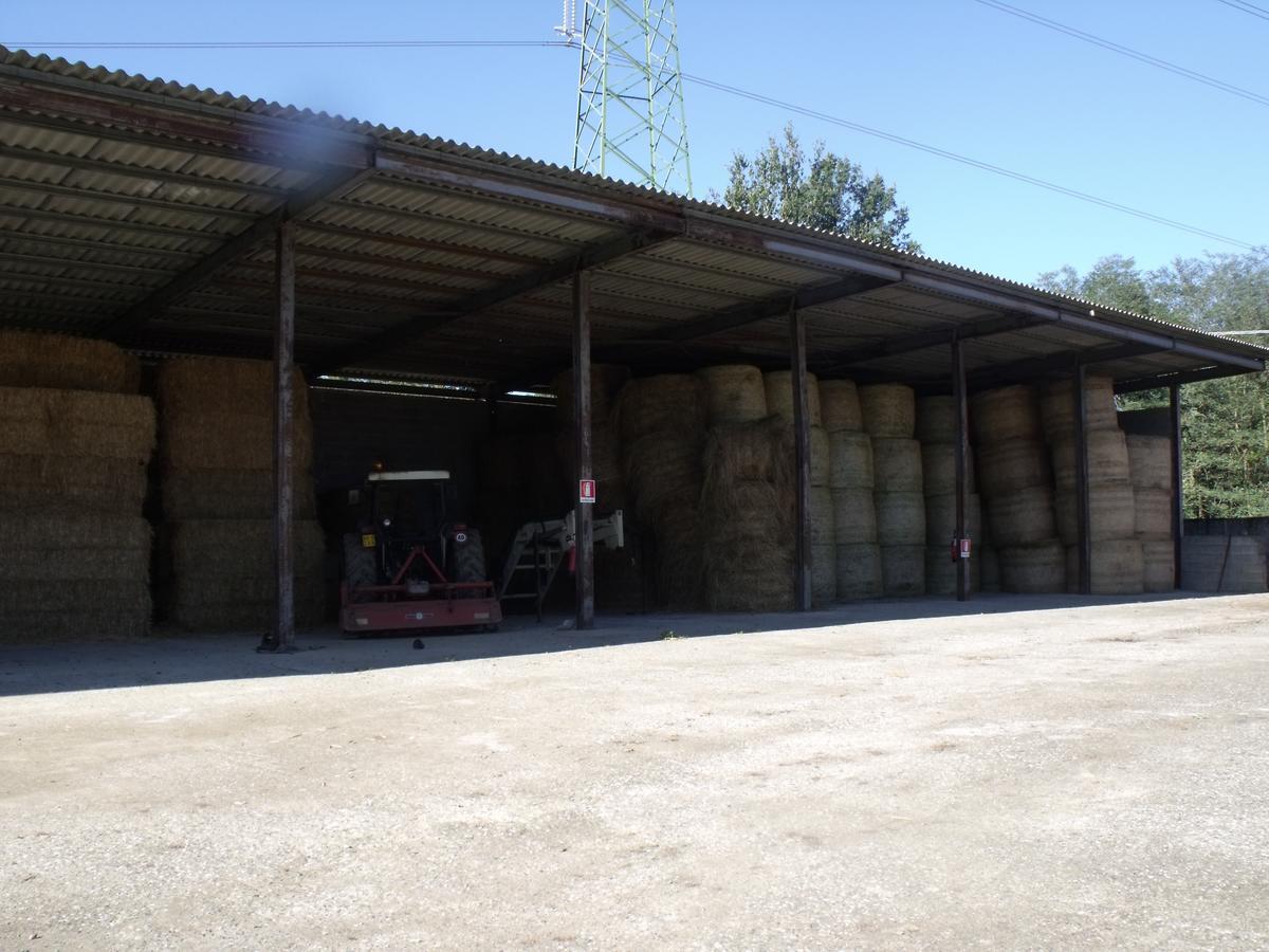וילפרנקה אין לוניג'אנה B&B Podere Montese מראה חיצוני תמונה