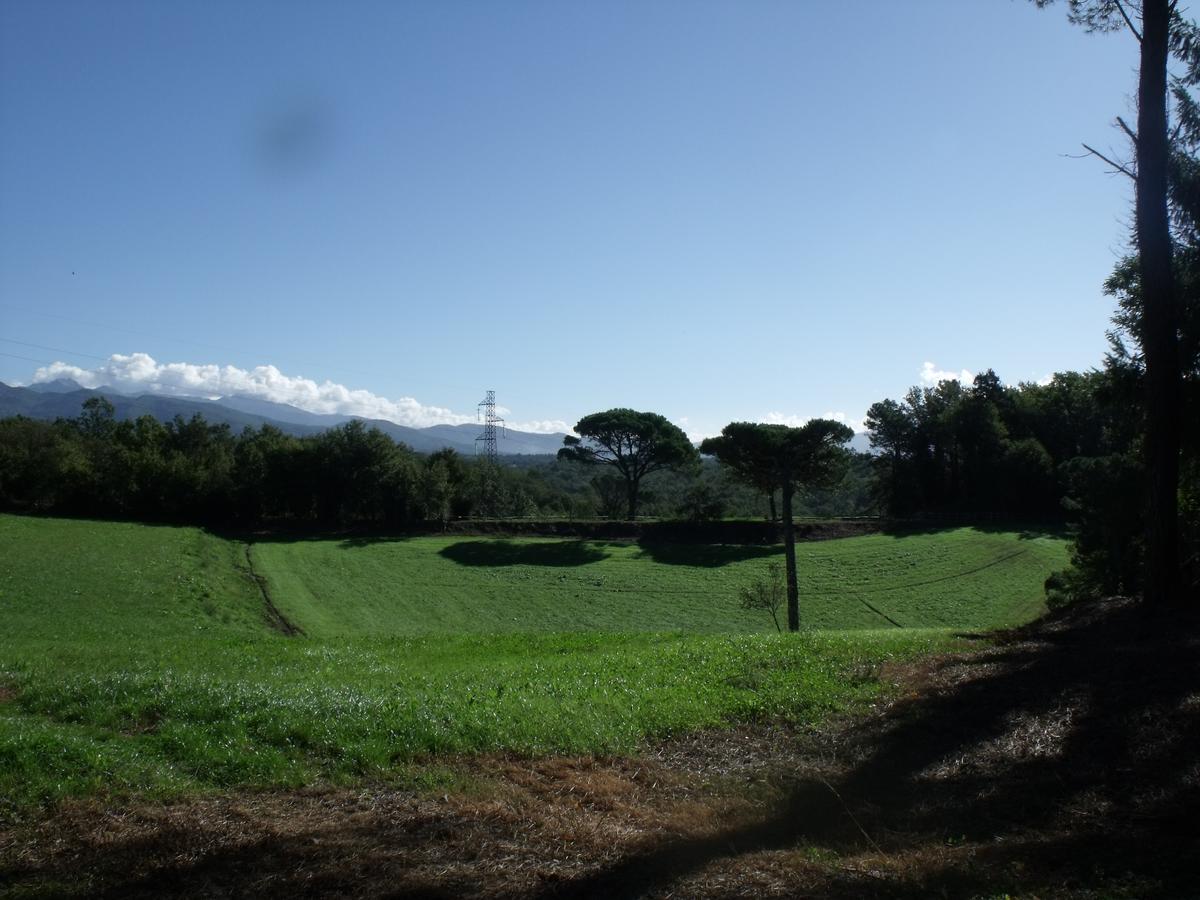 וילפרנקה אין לוניג'אנה B&B Podere Montese מראה חיצוני תמונה