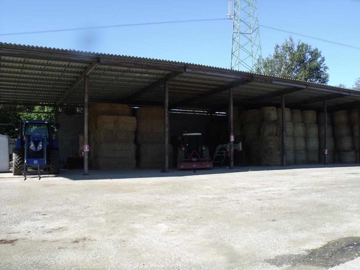 וילפרנקה אין לוניג'אנה B&B Podere Montese מראה חיצוני תמונה